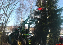 Hof Scheffen Hattert Westerwald WW - Landwirtschaft - Mutterkuhhaltung - Fleischrinder - Ackerbau - Galabau - Gartenbau - Landschaftsbau - Rindenmulch - Sonderbaumfllung - Heckenschnitt - Containerdienst - Brennholz - Weihnachtsbume 